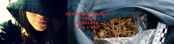 СК Алексин
